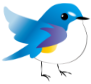 鳥